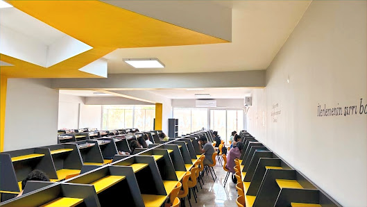 Tan vip Kurs Kütüphane Tümü görseli