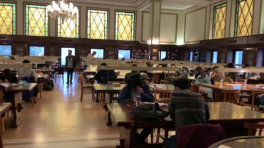 İstanbul Üniversitesi Hukuk Fakültesi Kütüphanesi Videolar görseli