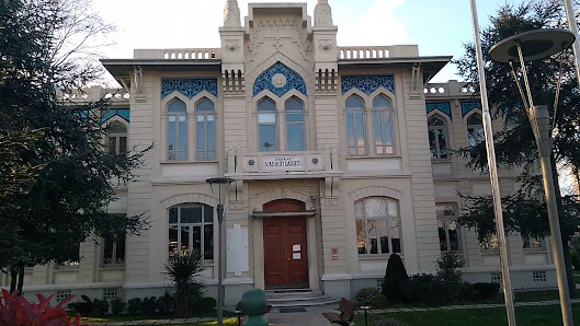 Tarih Edebiyat Sanat Kütüphanesi (TESAK) Videolar görseli
