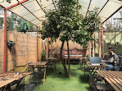 Navraz Cafe Kütüphane & Atölye Ortam görseli