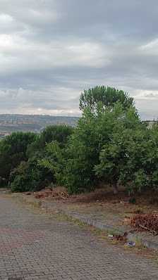 Karaman Millet Bahçesi Videolar görseli