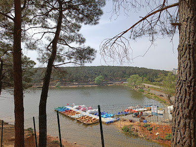 Sancaktepe Millet Bahçesi Tümü görseli