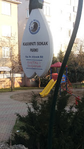 Kartal Belediyesi Kasımpatı Sokak Parkı Tümü görseli