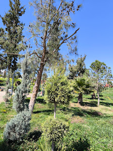 Karataş Parkı En son görseli