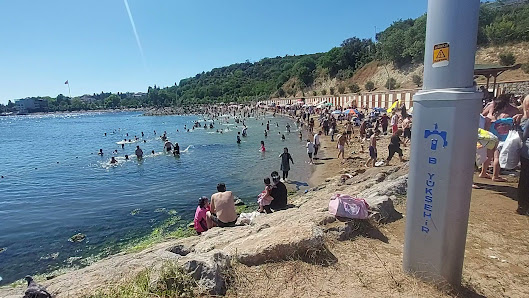 Darıca Millet Bahçesi Videolar görseli