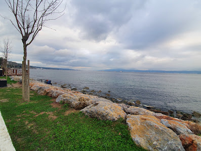 Darıca millet parkı
