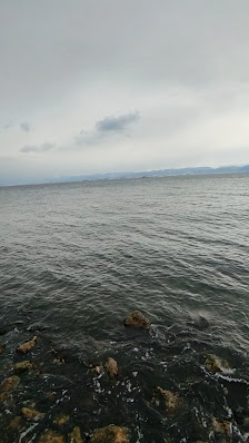 Darıca millet parkı Plaj görseli