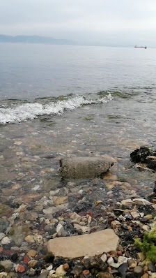 Darıca millet parkı Videolar görseli