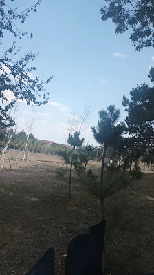 Kütahya Millet Bahçesi Videolar görseli