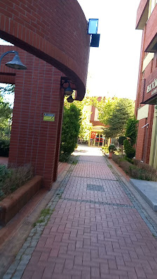 Maltepe Üniversitesi Kütüphanesi Videolar görseli
