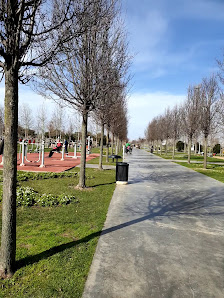 İBB Orhangazi Şehir Parkı Videolar görseli