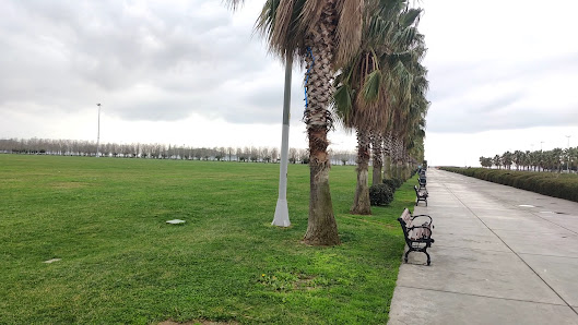 Maltepe Sahili Etkinlik Alanı Tümü görseli