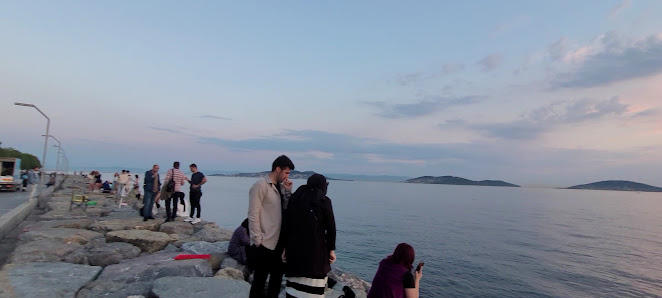 Maltepe Sahili Etkinlik Alanı Videolar görseli