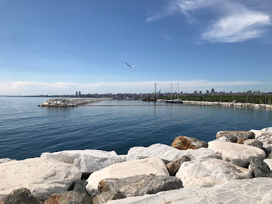 İdealtepe Sahil Parkı Tümü görseli