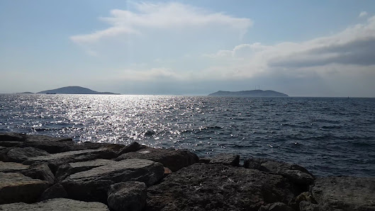 İdealtepe Sahil Parkı Videolar görseli