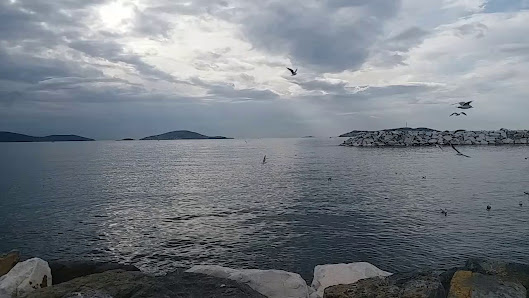 Maltepe Dolgu Alan Videolar görseli