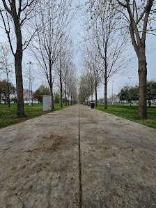 Sahil Park En son görseli