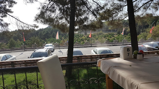 Asyapark Çaybahçesi Piknik ve Mesire Alanı Tümü görseli