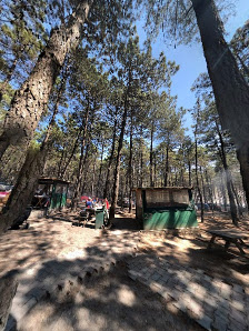 Asyapark Çaybahçesi Piknik ve Mesire Alanı Street View ve 360° görseli
