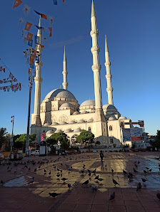 Maltepe Sehir Parki Tümü görseli