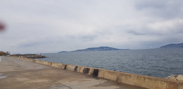 Maltepe Sehir Parki Plaj görseli