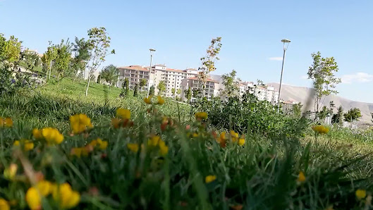 Niğde toki millet bahçesi Sahibinin seçtikleri görseli