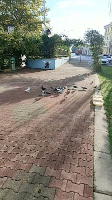 Sabahattin Zaim Kız Öğrenci Yurdu KYK Videolar görseli