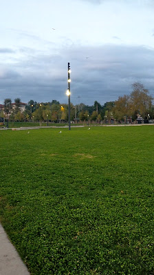 Sakarya Millet Bahçesi Videolar görseli