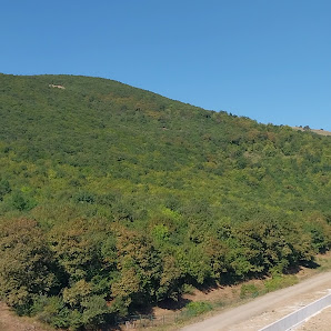 Kyk Samsun Kız Yurdu Videolar görseli