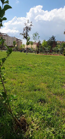 Siirt Millet Bahçesi Videolar görseli