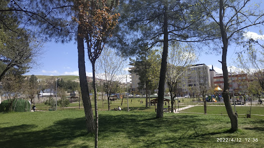 Siirt Millet Bahçesi çevre düzenleme görseli