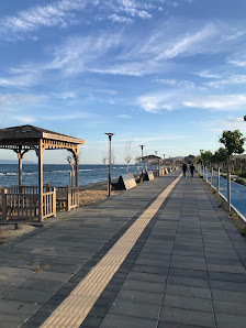Tekirdağ millet bahçesi Plaj görseli