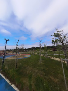 Tekirdağ millet bahçesi Street View ve 360° görseli
