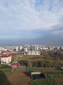 MÜNÜR ÖZKURT YURT MÜDÜRLÜĞÜ Tümü görseli