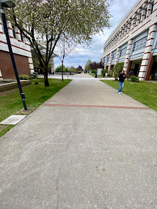 Sabancı Üniversitesi Bilgi Merkezi En son görseli