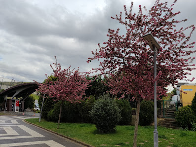 Tuzla Belediyesi Şelale Eğitim Parkı En son görseli