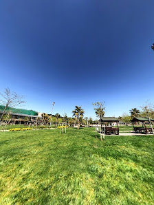 Tuzla Belediyesi Şelale Eğitim Parkı Street View ve 360° görseli