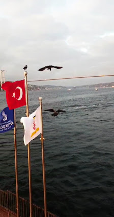 Türkiye Tasarım Vakfı Videolar görseli