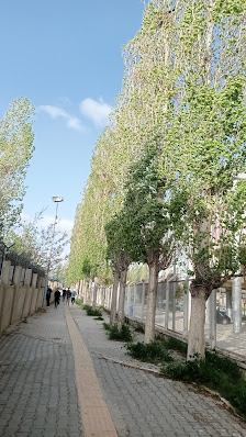 Van Öğrenci Yurdu