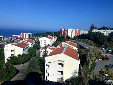 Zonguldak KYK Erkek Öğrenci Yurtları A-B-C Blokları Tümü görseli