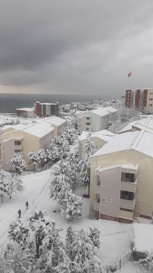Zonguldak KYK Erkek Öğrenci Yurtları A-B-C Blokları Ziyaretçilerden görseli