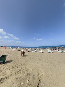 Vadi Şile Beach Restaurant & Cafe & Aile Piknik Alanı Street View ve 360° görseli