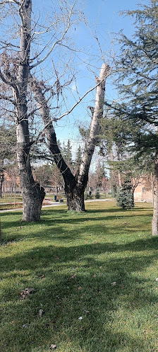 Isparta Millet Bahçesi Bahçe görseli