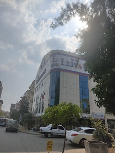 Özel Ege Liva Hastanesi Tümü görseli