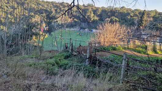 Football Field Tümü görseli