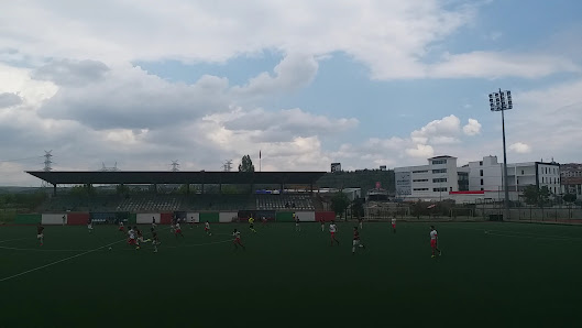 Gölbaşı Stadyumu Gölbaşı Sentetik Saha görseli