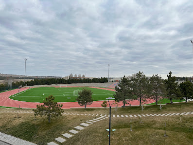 TED Ankara Koleji Stadyumu