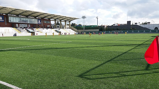 Bayrampaşa Büyükşehir Belediye Stadı Futbol görseli