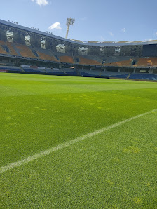 Başakşehir Fatih Terim Stadyumu Tümü görseli