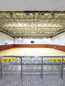 İBB Beyoğlu Spor Kompleksi Street View ve 360° görseli